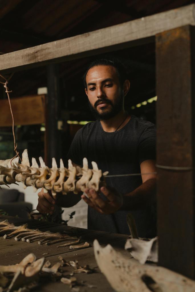 A researcher touching and analyzing animal bones