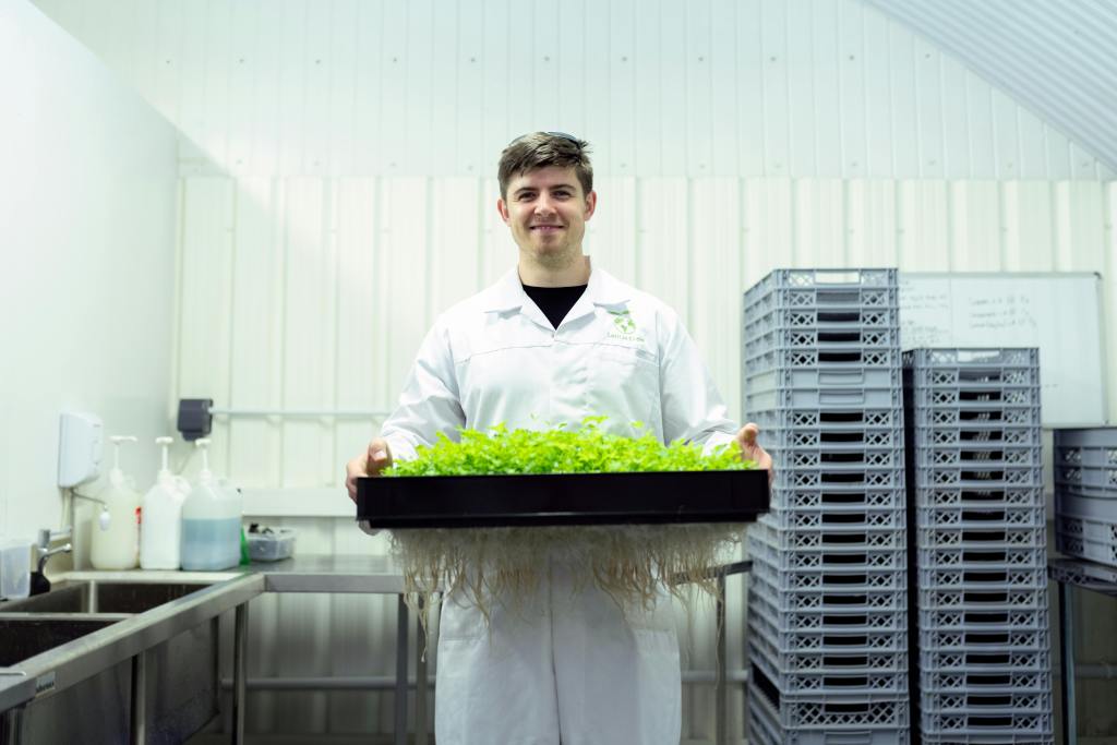 scientist grabing a box of growing plants