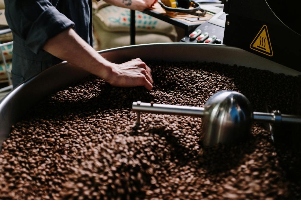 worker grabbing coffee beans in a bean toasting machine