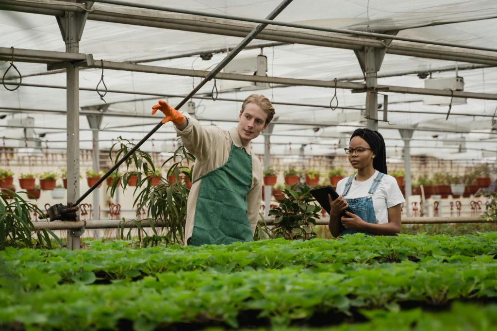 a male farmer pointing out something to a female student in a greenhouse setting