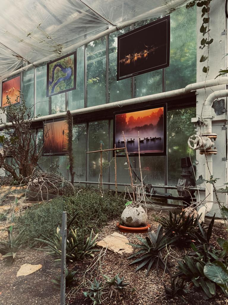 the interior of a greenhouse or conservatory filled with a variety of plants and architectural elements, including exposed metal pipes and glass walls. Several framed photographs are displayed on the glass partitions
