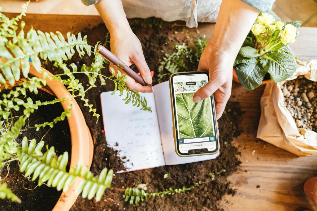 a farmer using a phone, while taking notes, a lot of dirt in the table