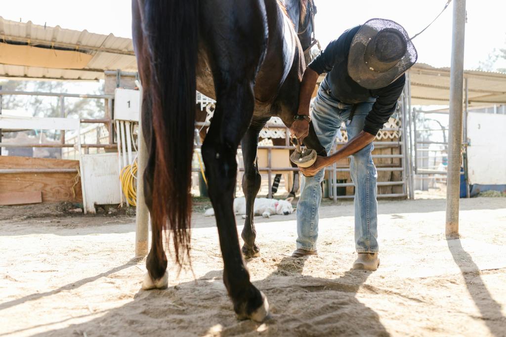 Horse Farrier taking care of a horse's hoove