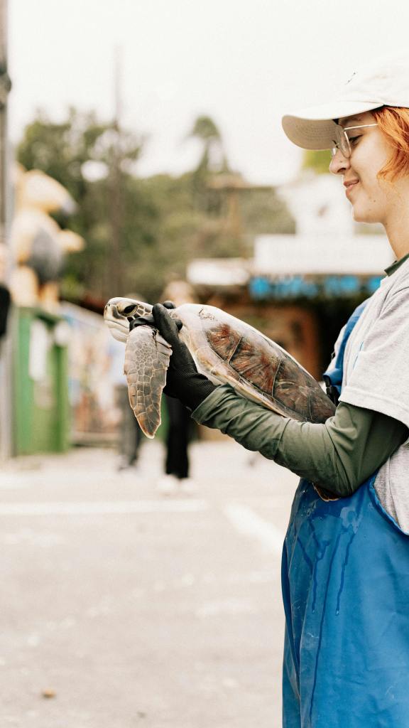 a young lady wearing gloves holding a sea turtle