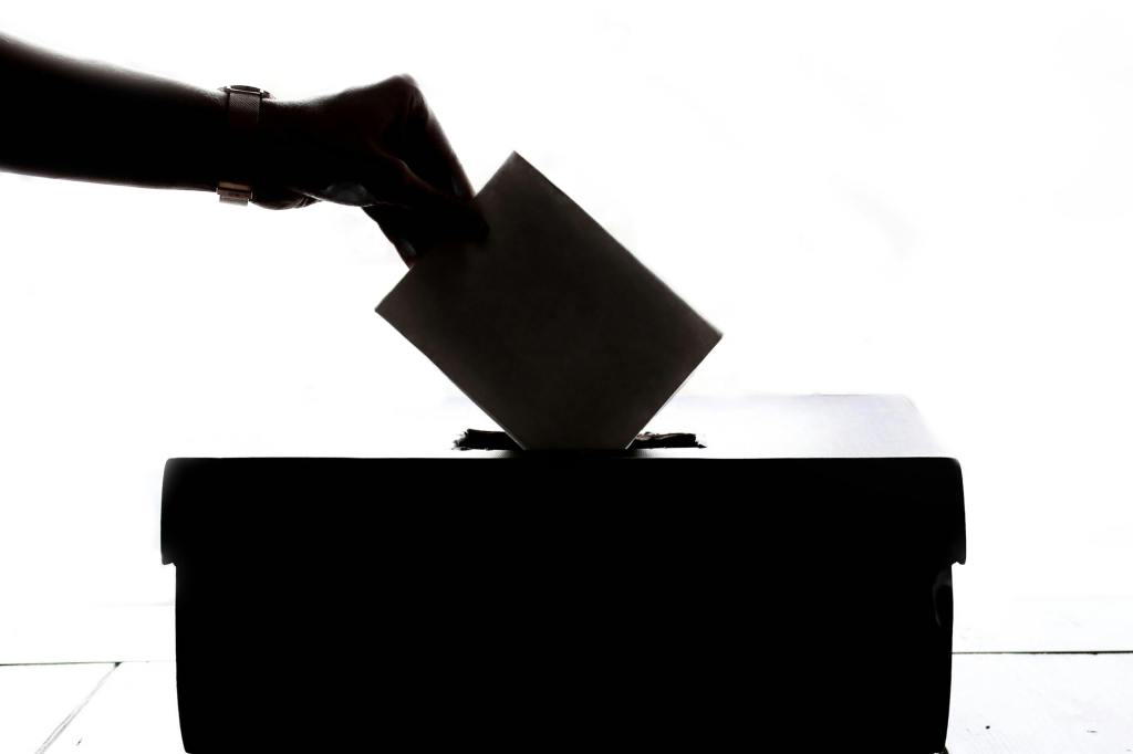 a highly shadowed depiction of a person putting his or her vote in a box