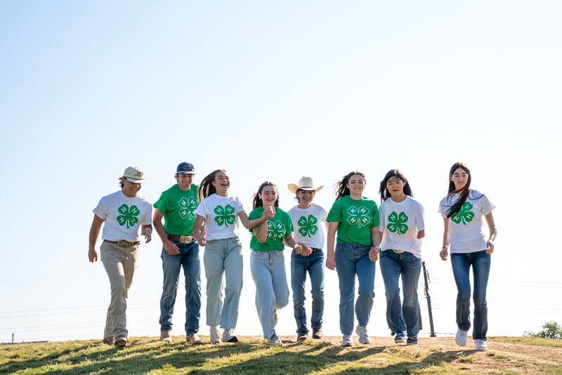 A group of youth wearing green and white 4-H shirts walk together outdoors on a grassy hill, smiling and laughing under a clear sky.